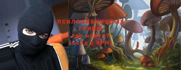 ALPHA-PVP Гусев