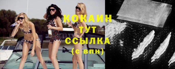 ALPHA-PVP Гусев